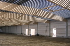Halle2